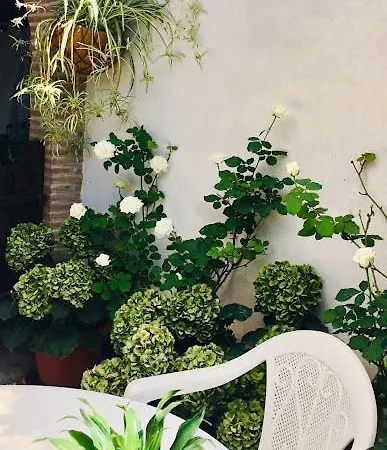 Guest house Country House Ardea